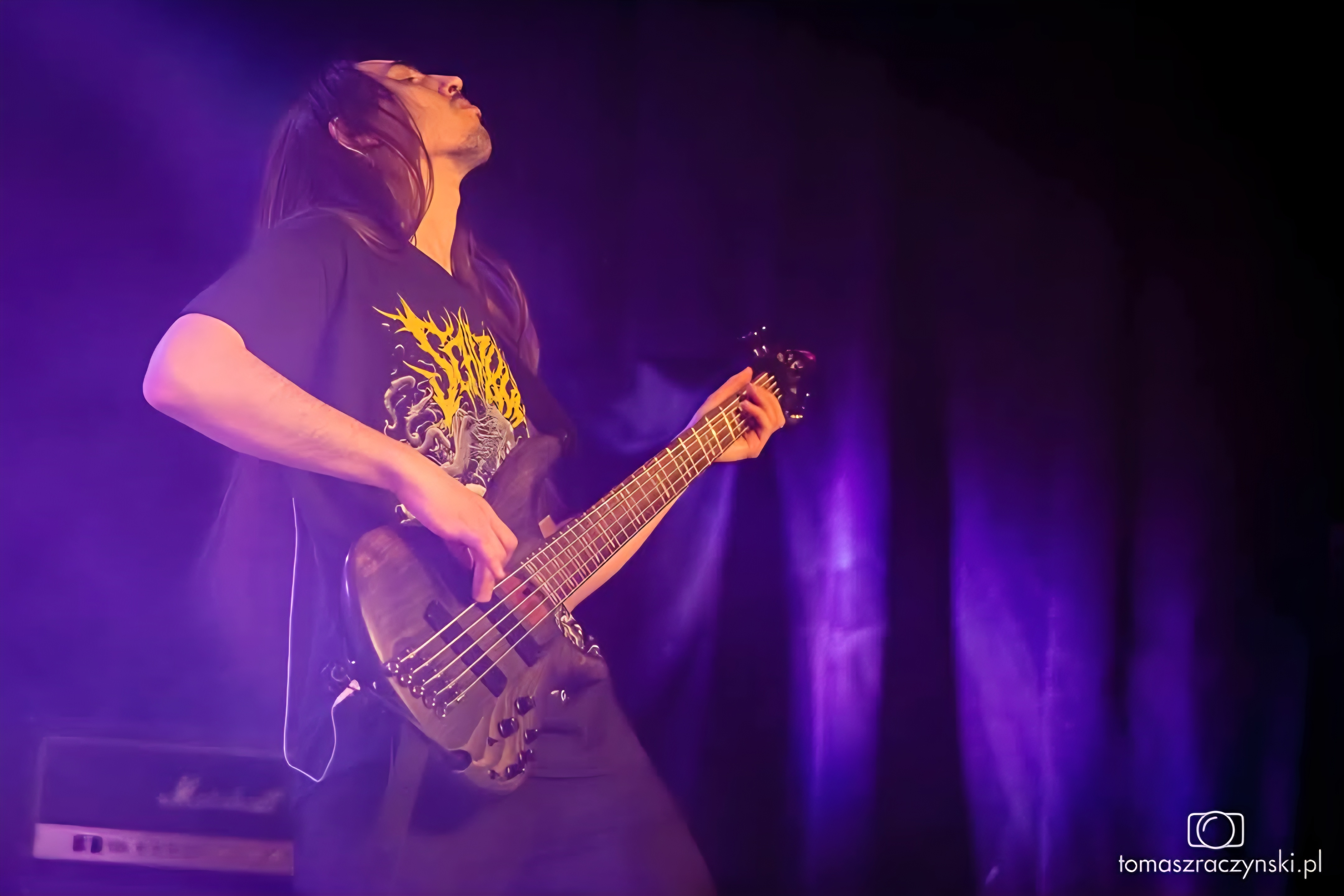 Bass guitar side shot